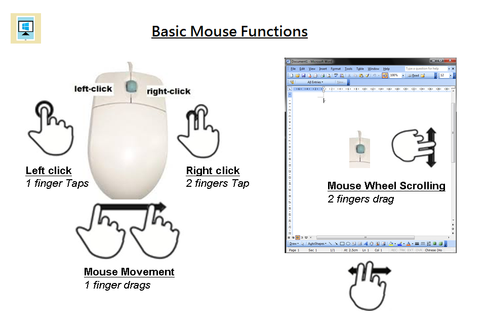 BasicMouse-960x640